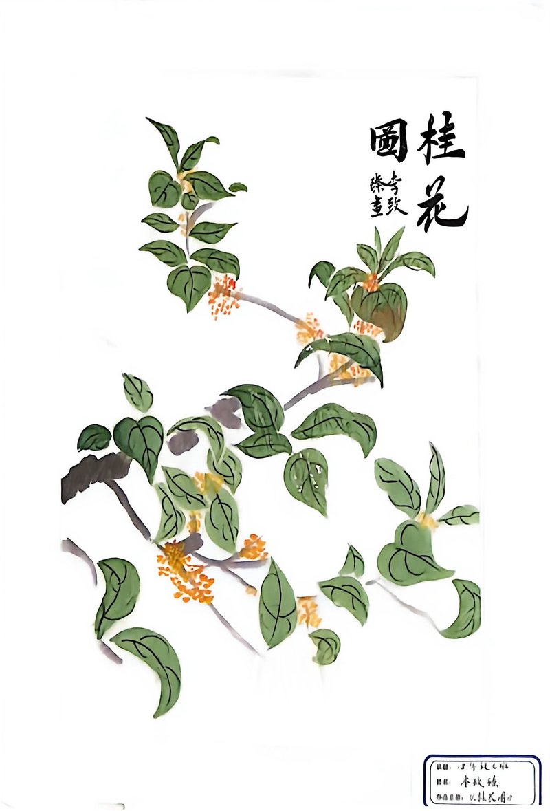 红尾幽禽