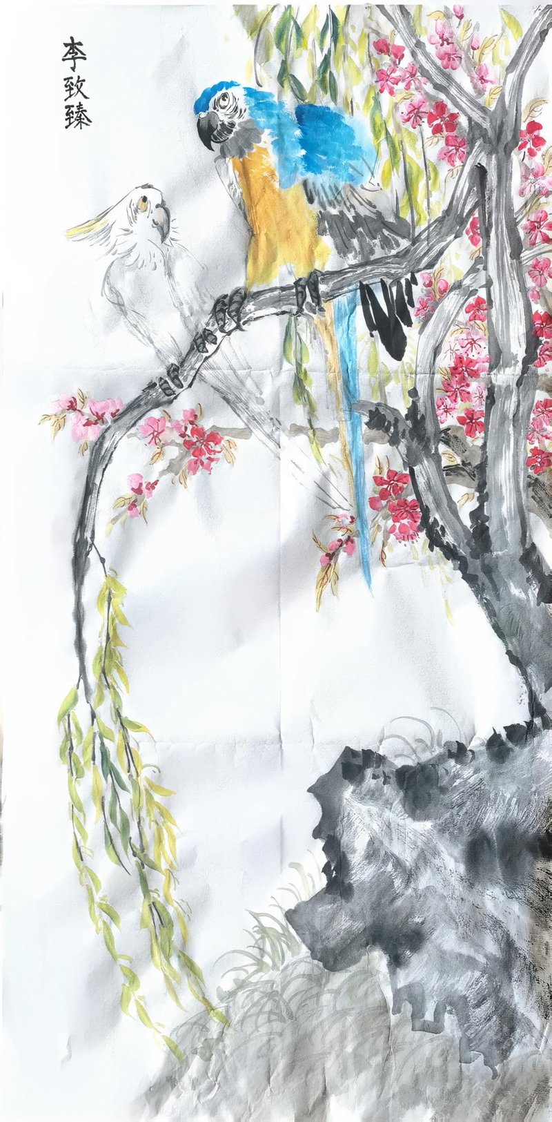 柳岸鹦鹉